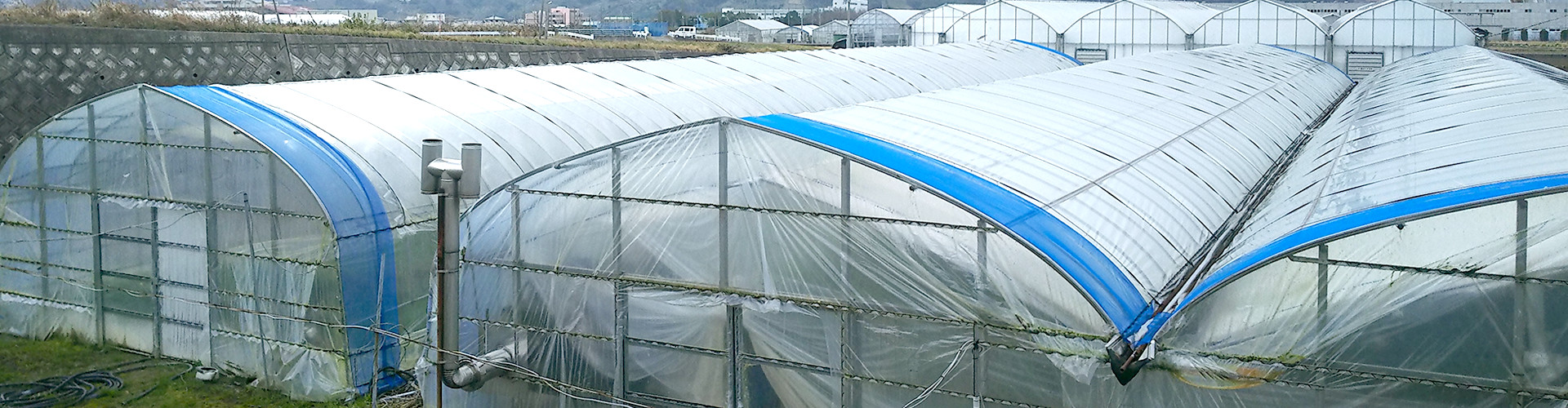 榎本農園