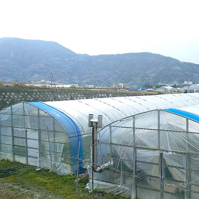 榎本農園
